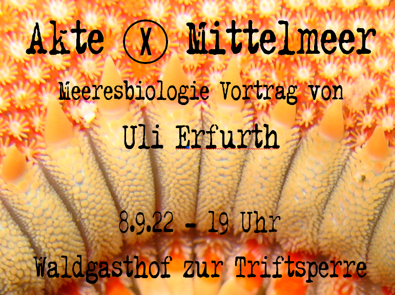08.09. Akte-X Mittelmeer – Biovortrag mit Uli Erfurth